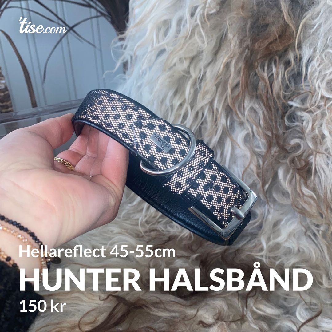 Hunter halsbånd