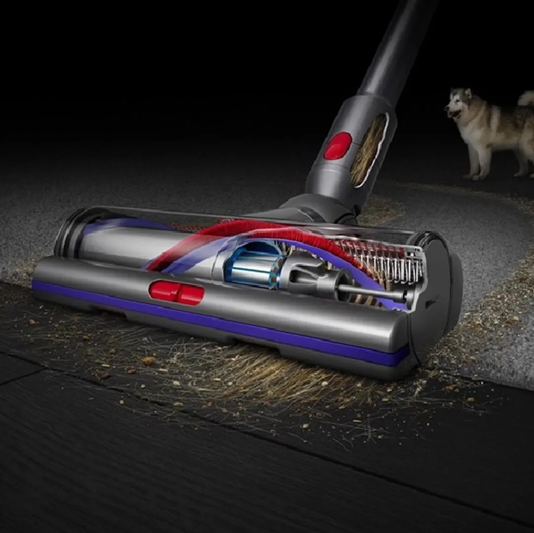 Dyson v15 detect