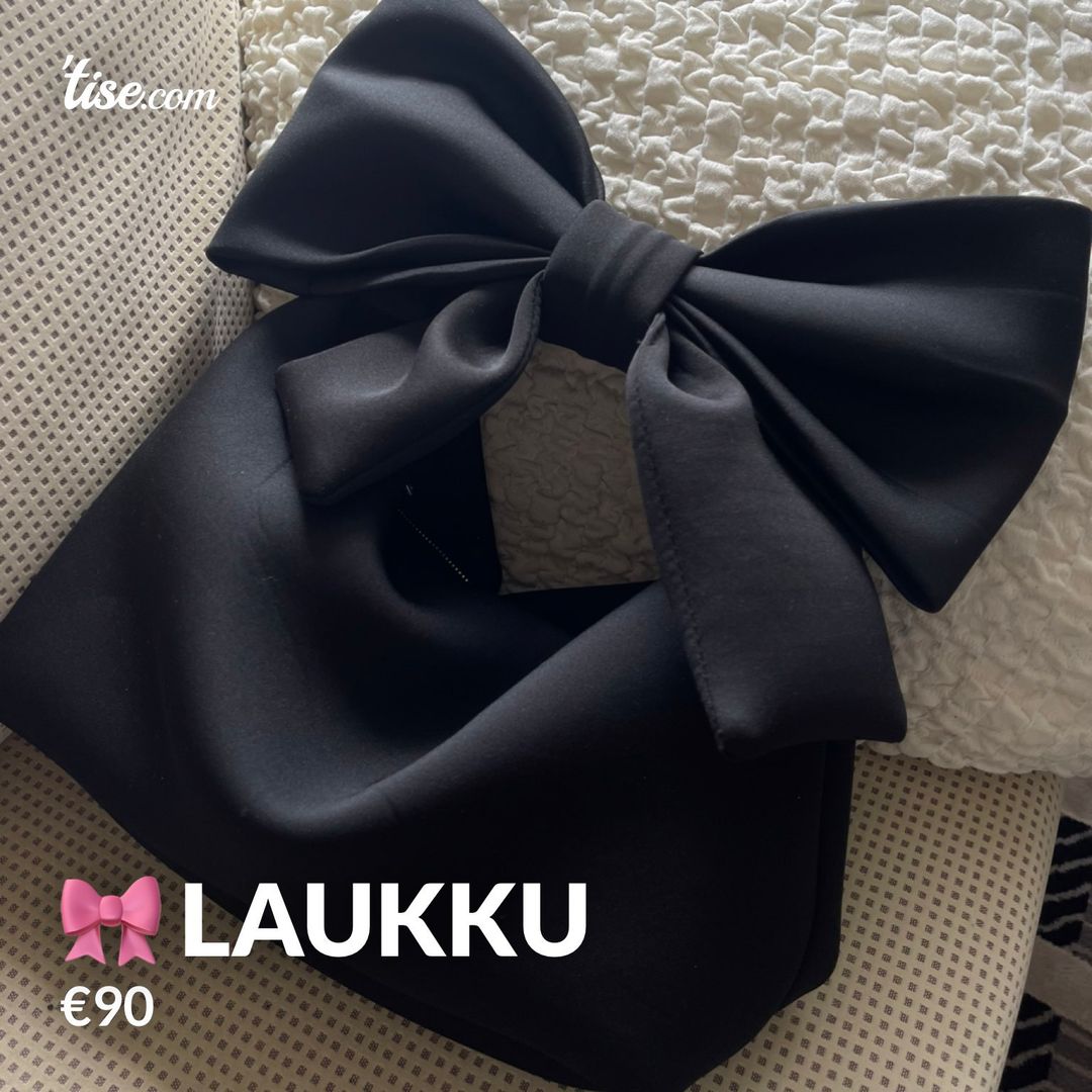 🎀 laukku