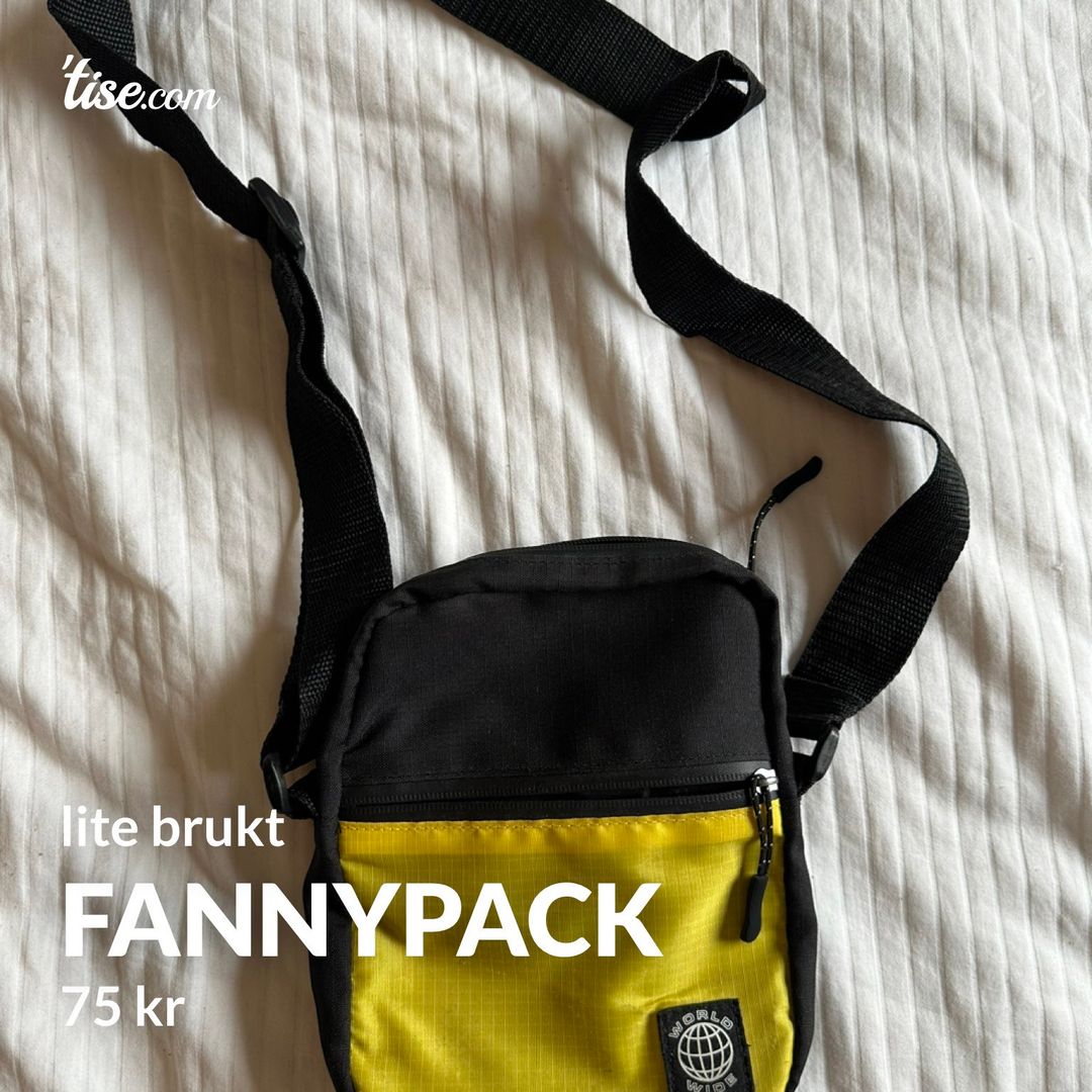 fannypack