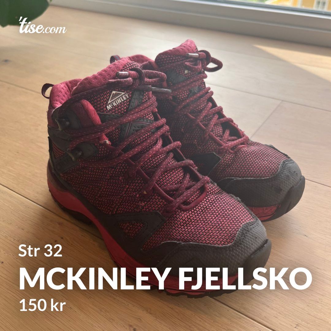 McKinley fjellsko