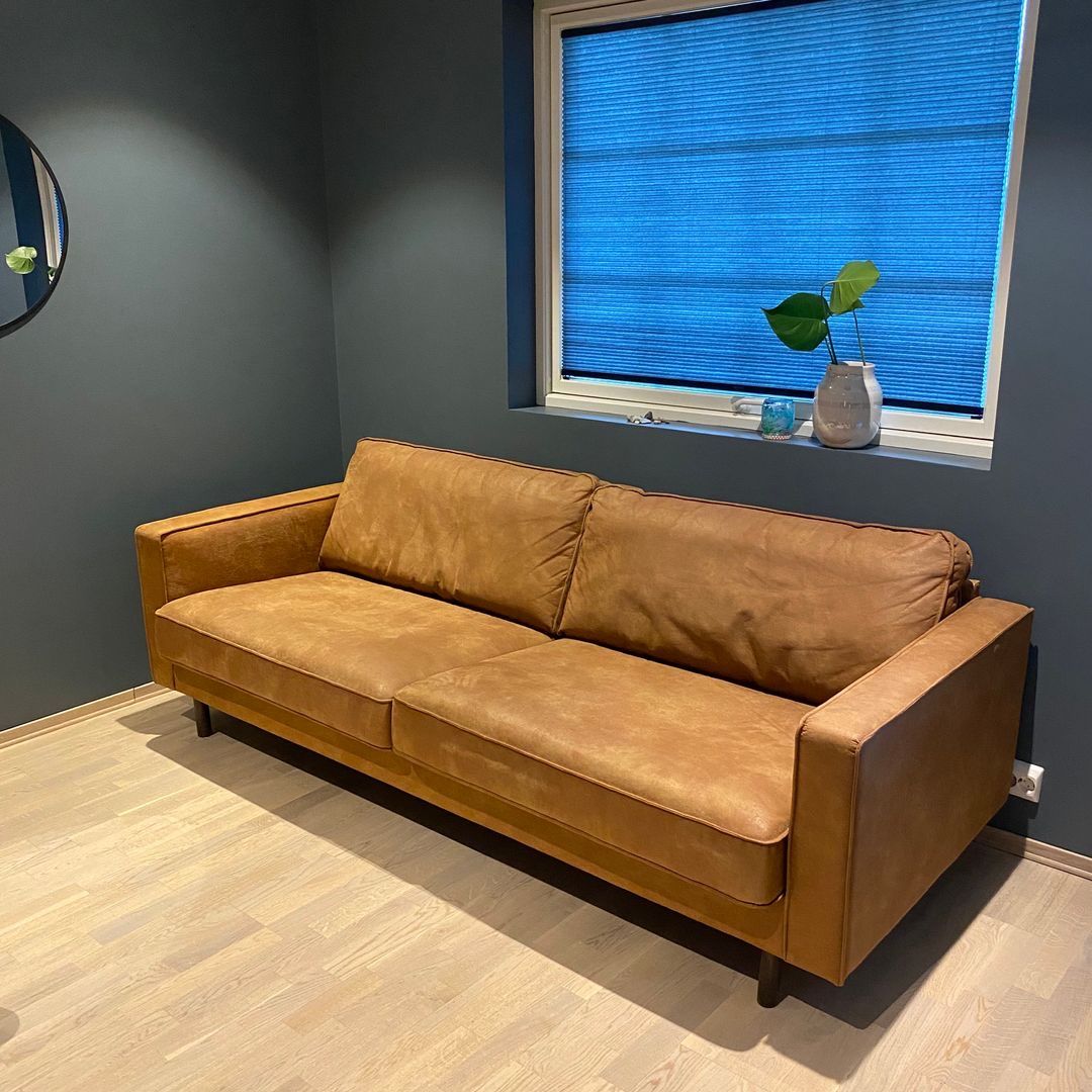 Weston skinn sofa