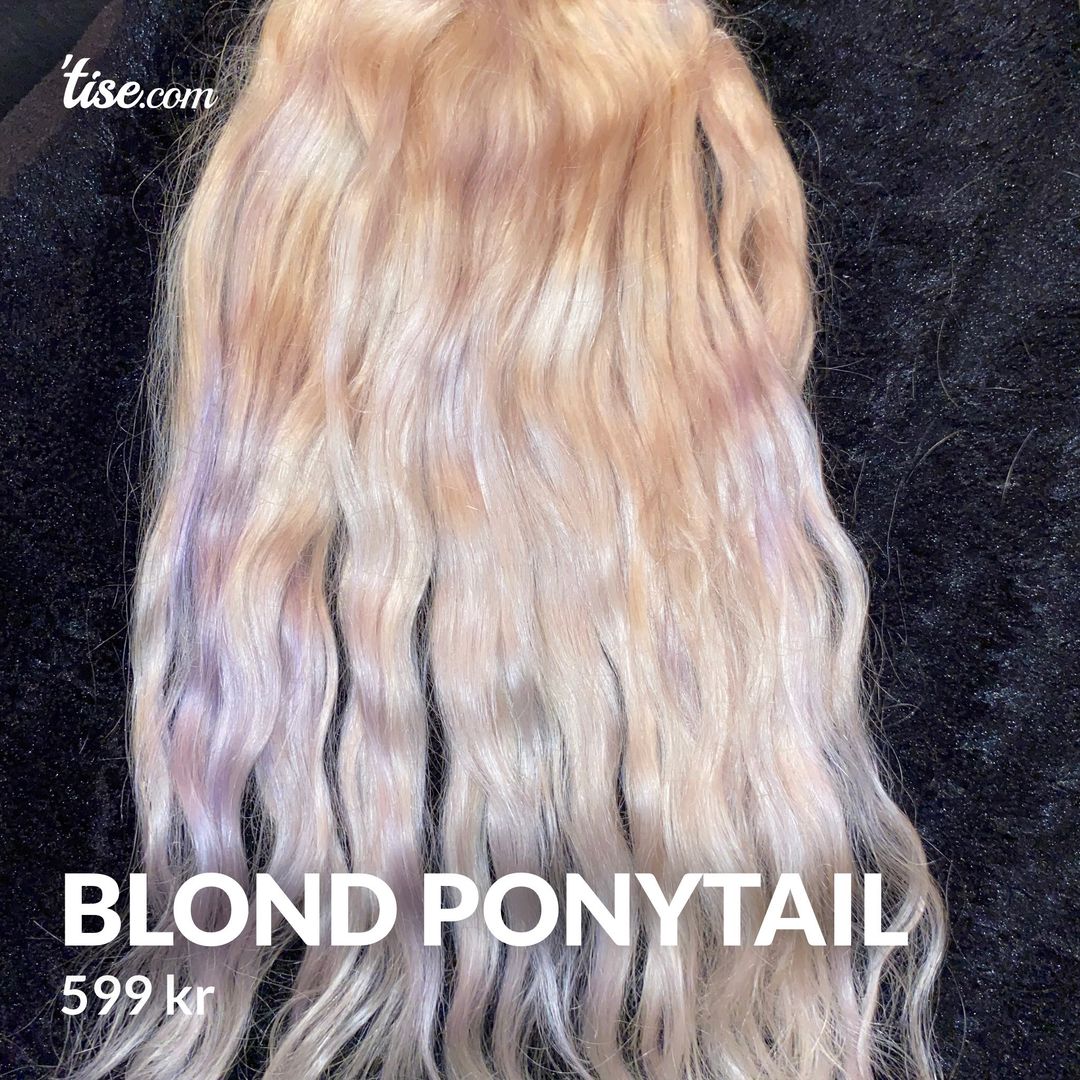 Blond ponytail