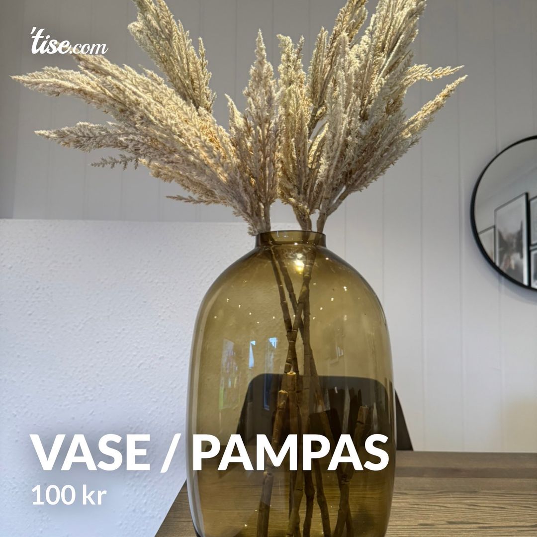 Vase / pampas