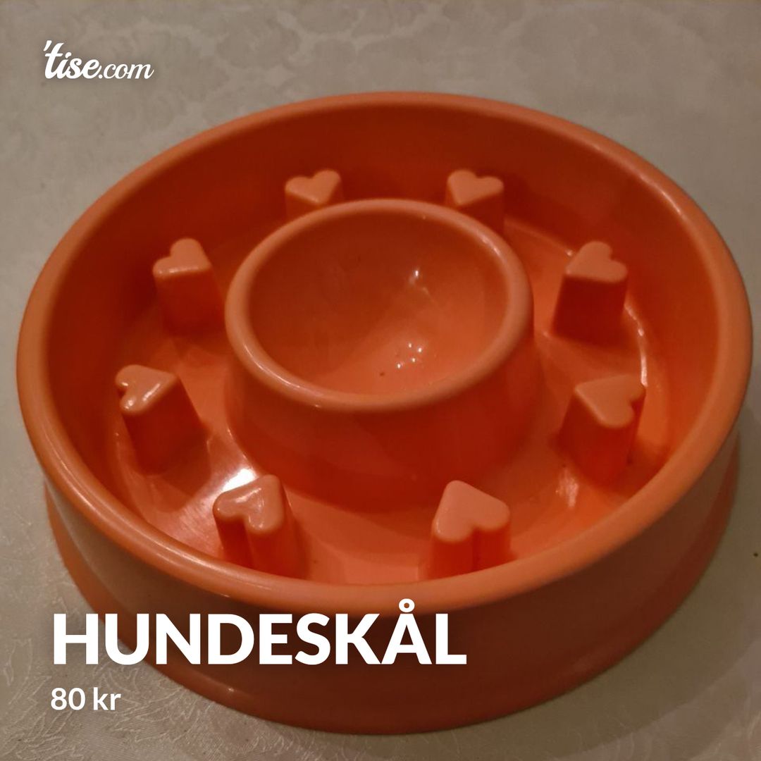 Hundeskål