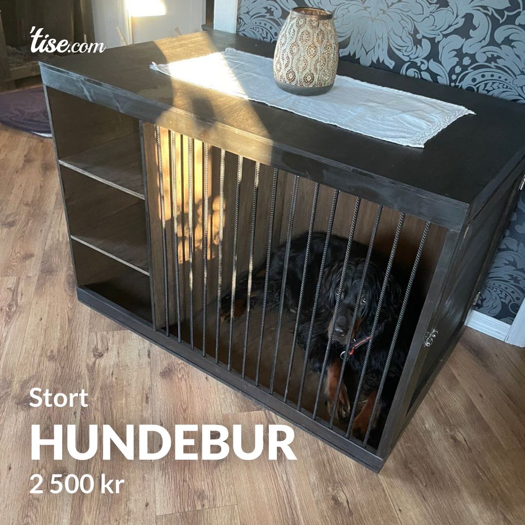 Hundebur