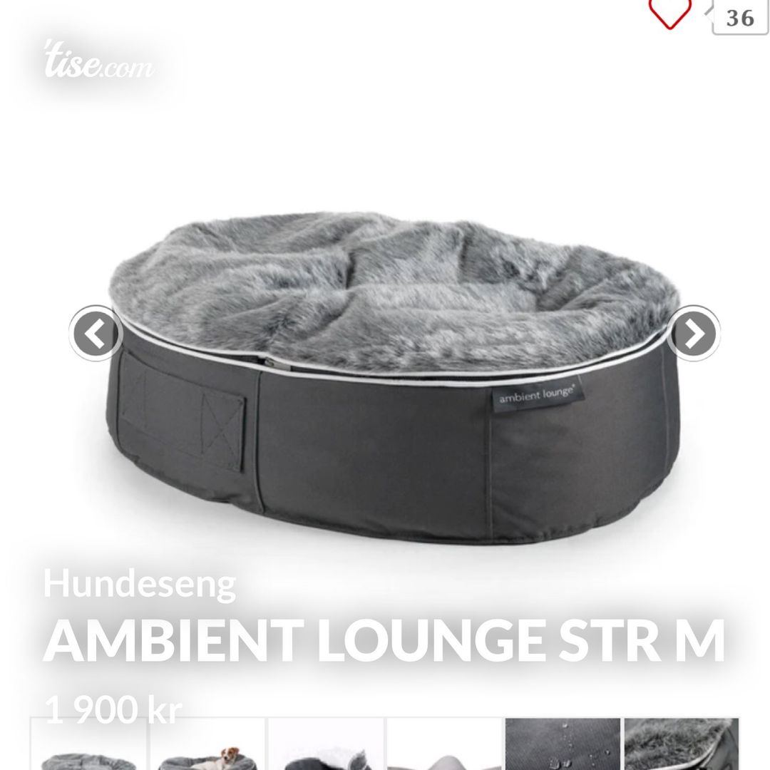 Ambient lounge str M