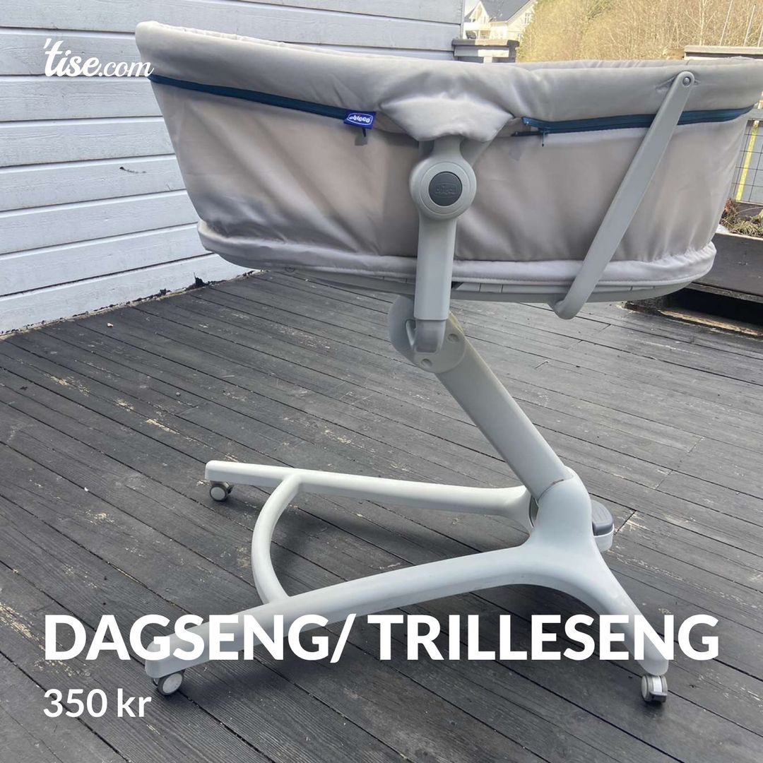 Dagseng/ trilleseng