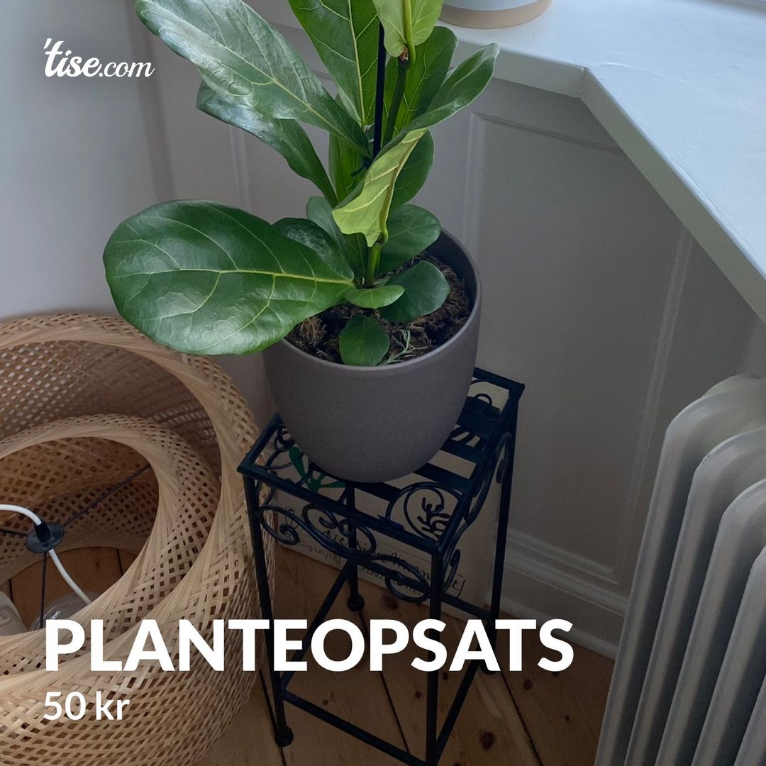 Planteopsats