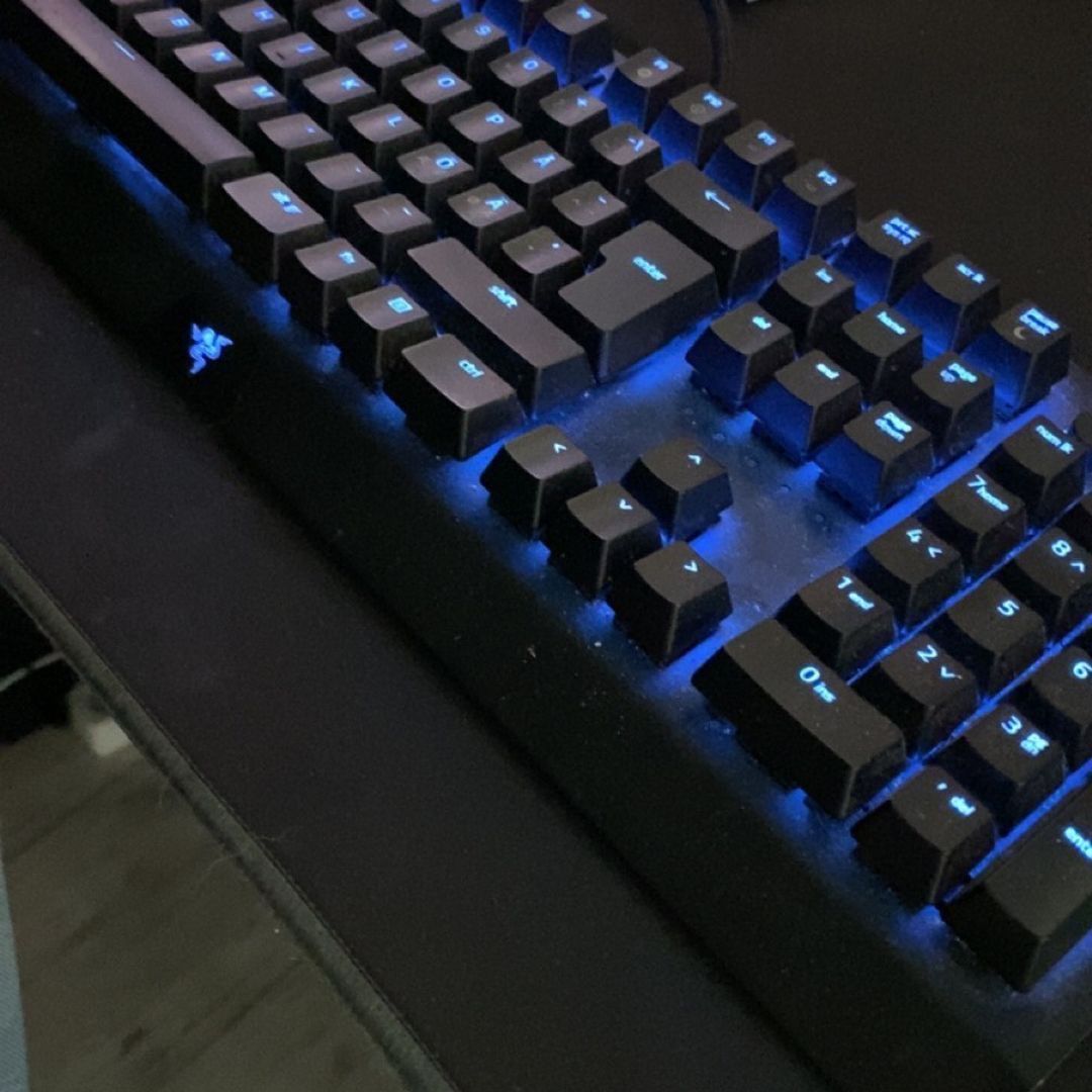 Razer blackwidow