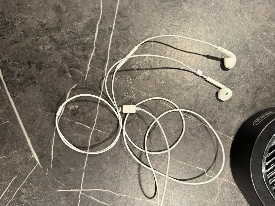 Apple earpods