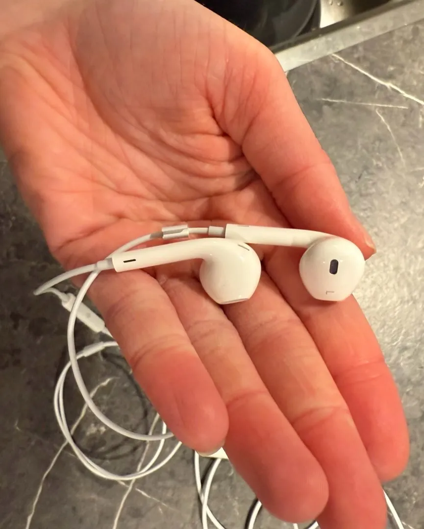 Apple earpods