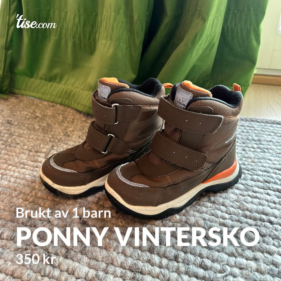 Ponny Vintersko