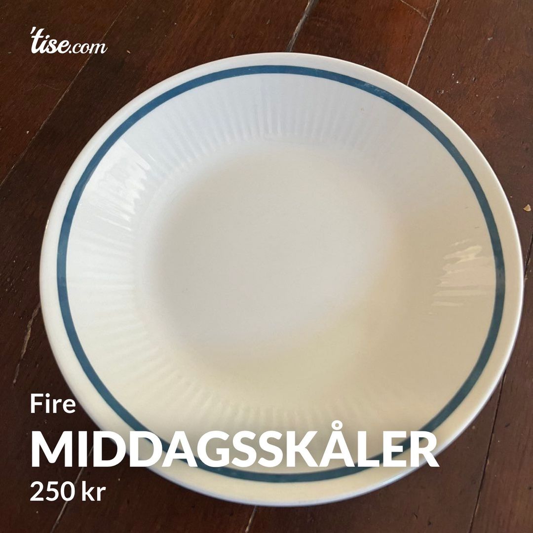 Middagsskåler