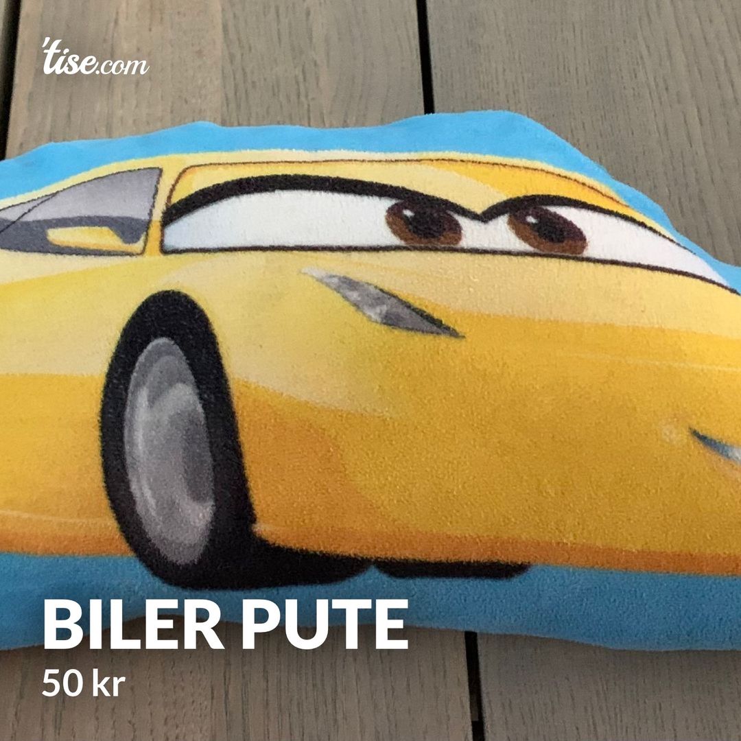 Biler pute