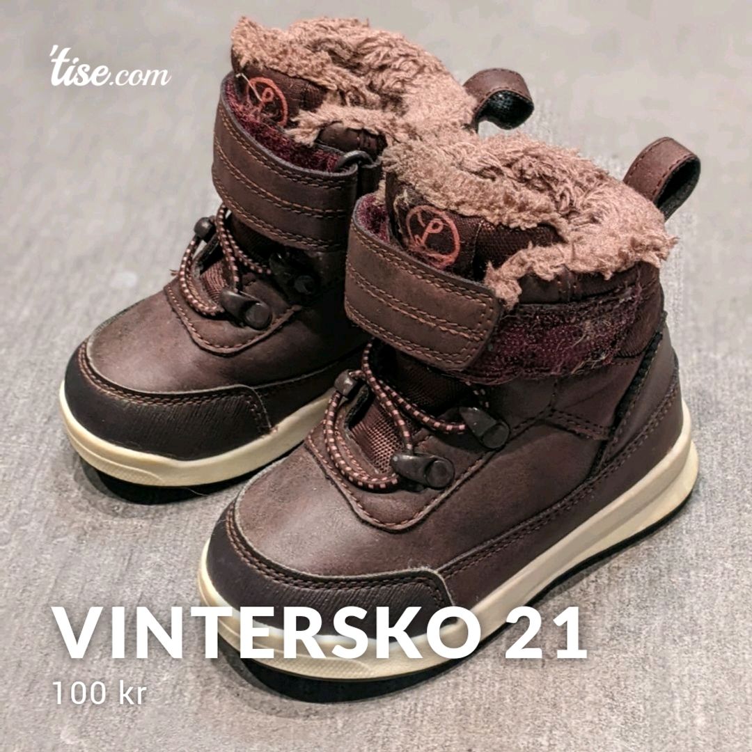 Vintersko 21