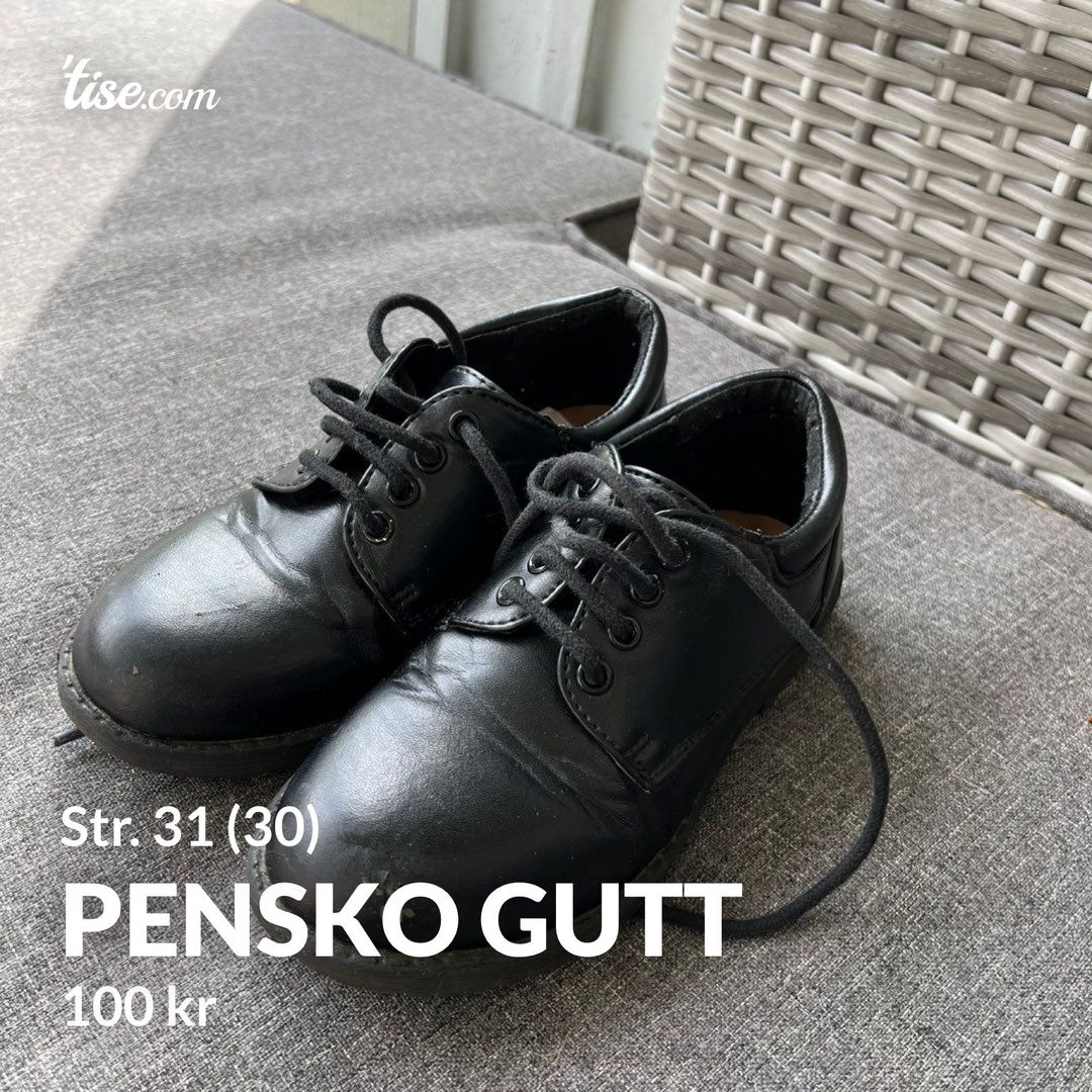 Pensko gutt