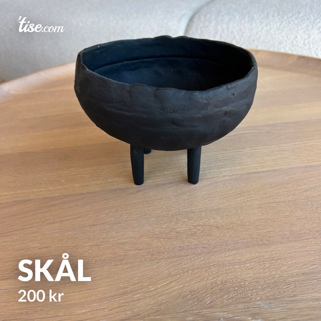 Skål