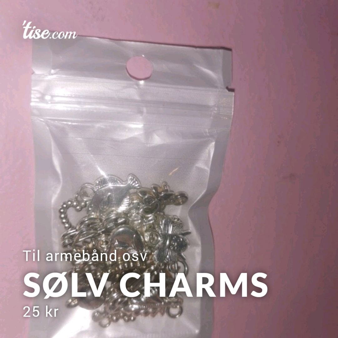 Sølv Charms