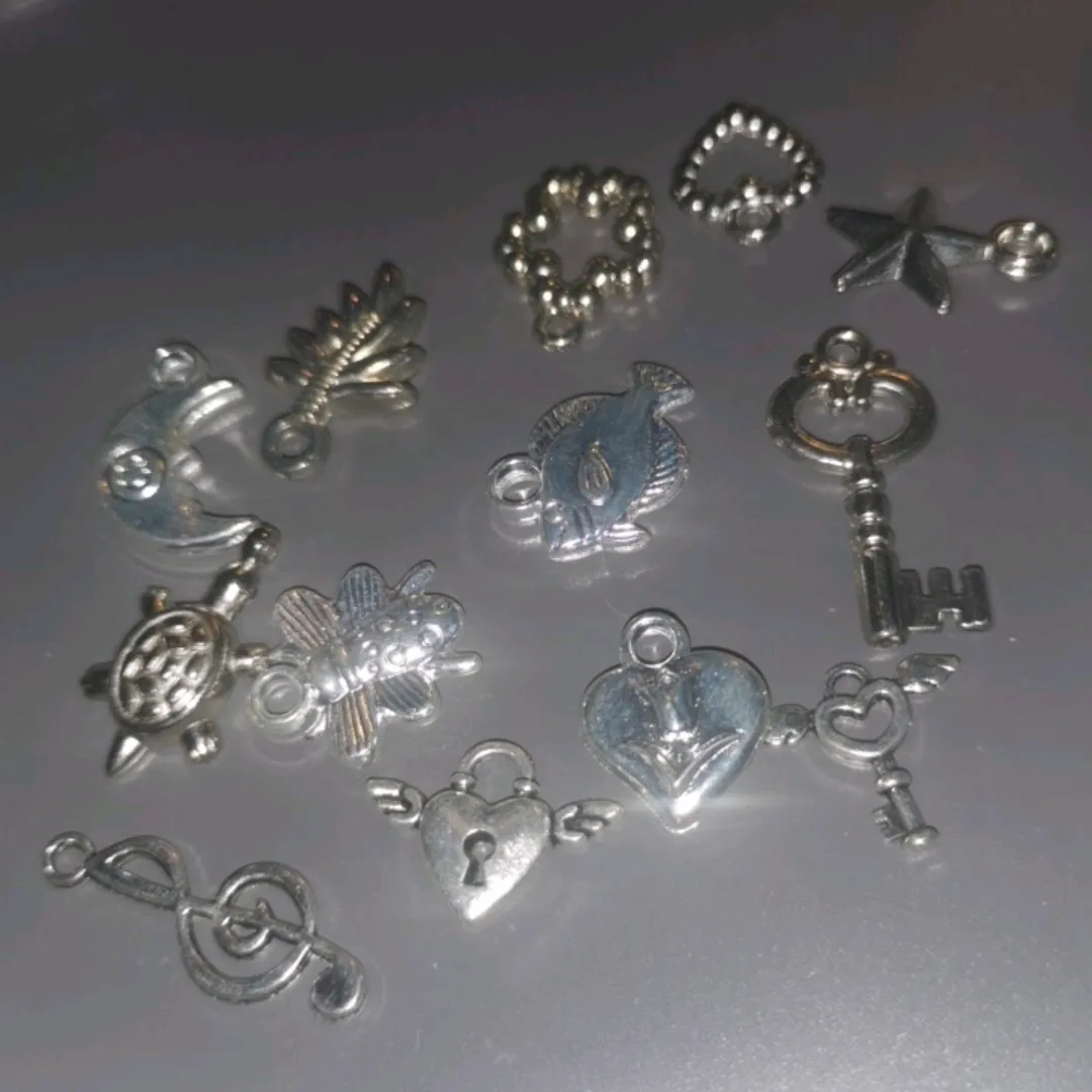 Sølv Charms