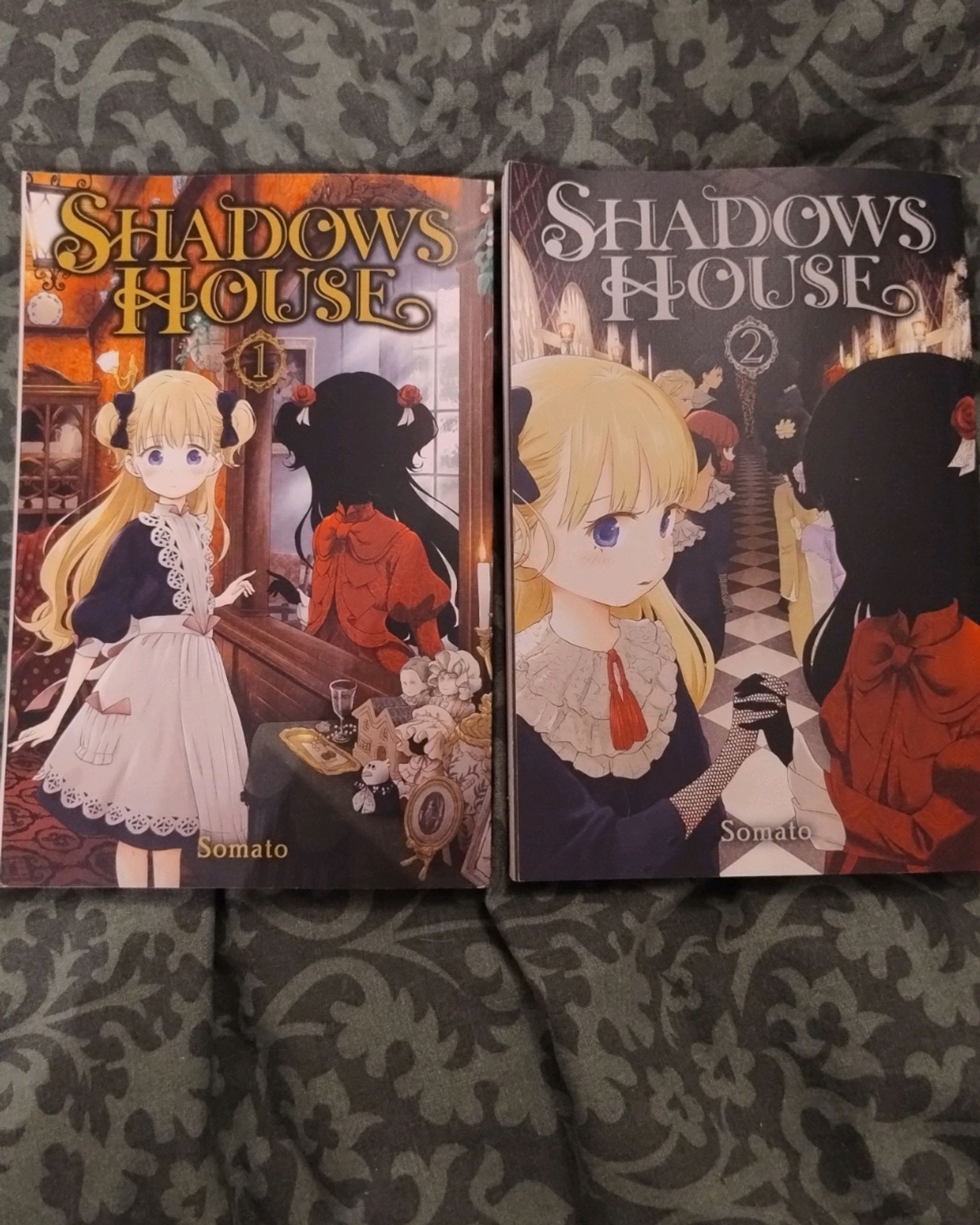 Shadows House