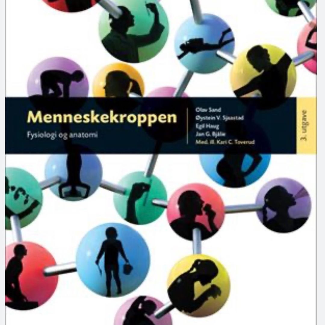 Menneskekroppen