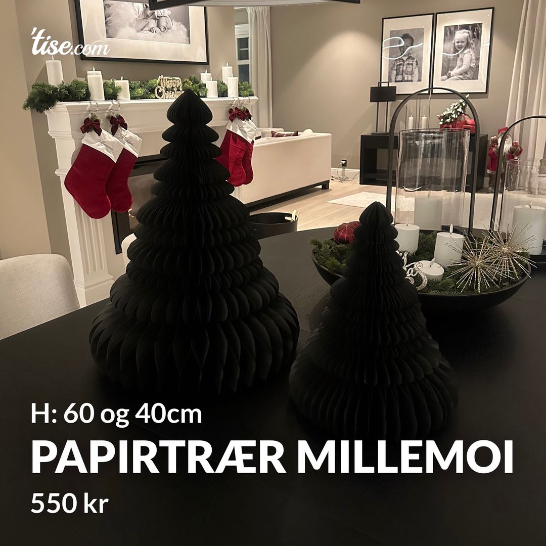 Papirtrær millemoi