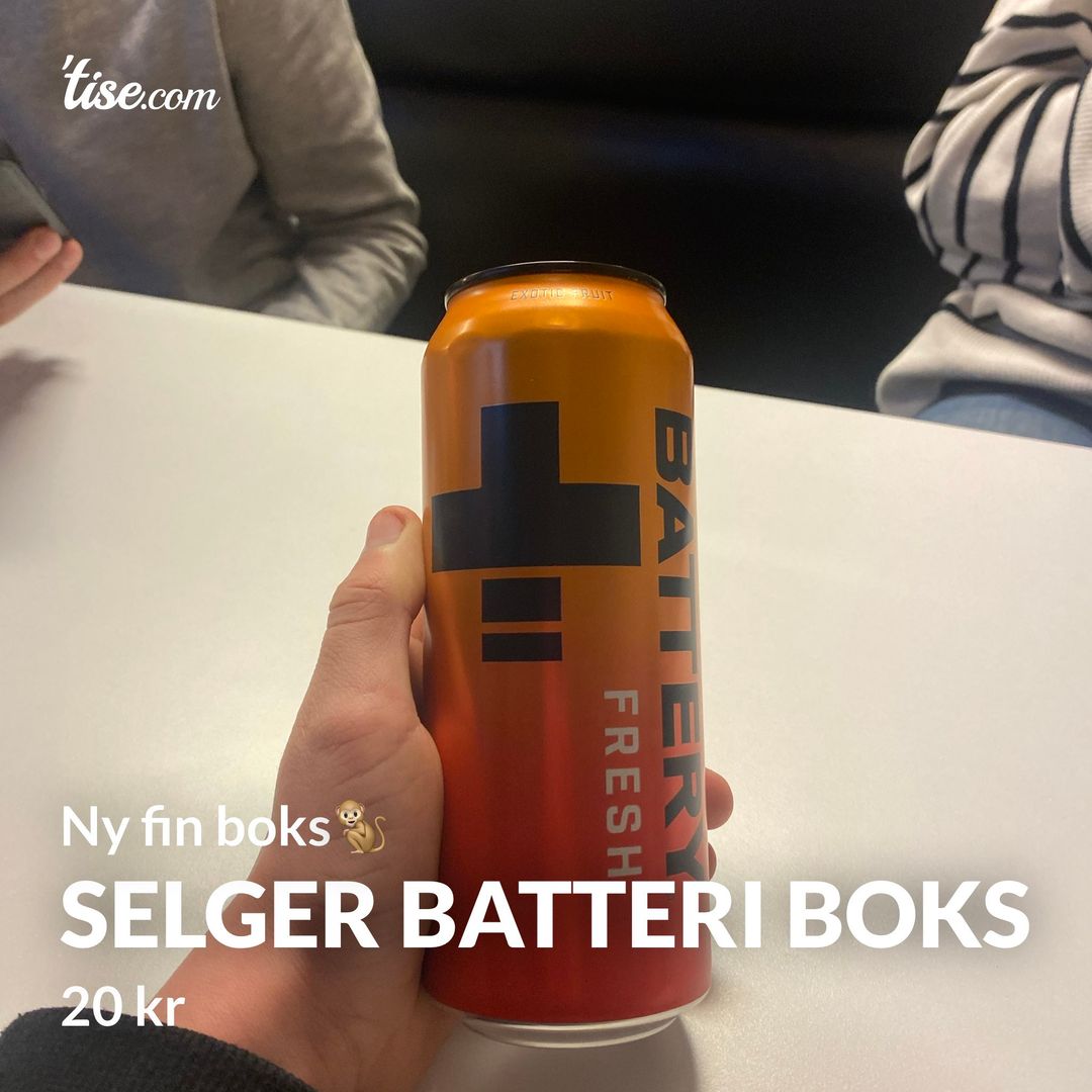 Selger batteri boks