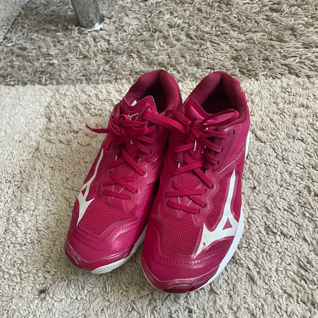 Mizuno håndball sko