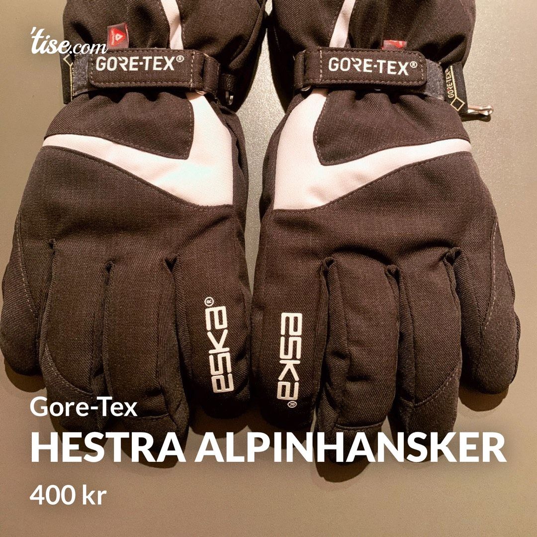 Hestra alpinhansker