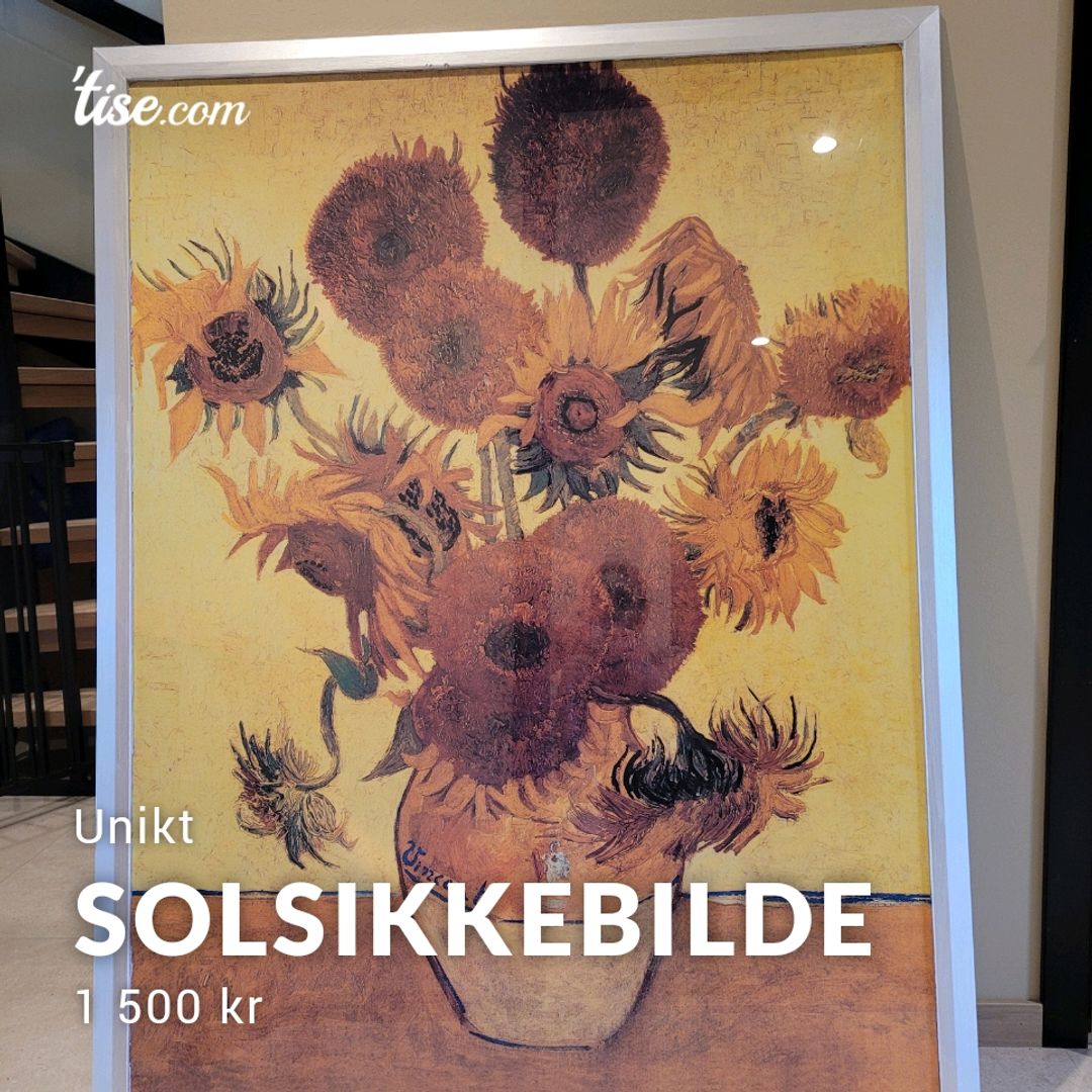 Solsikkebilde