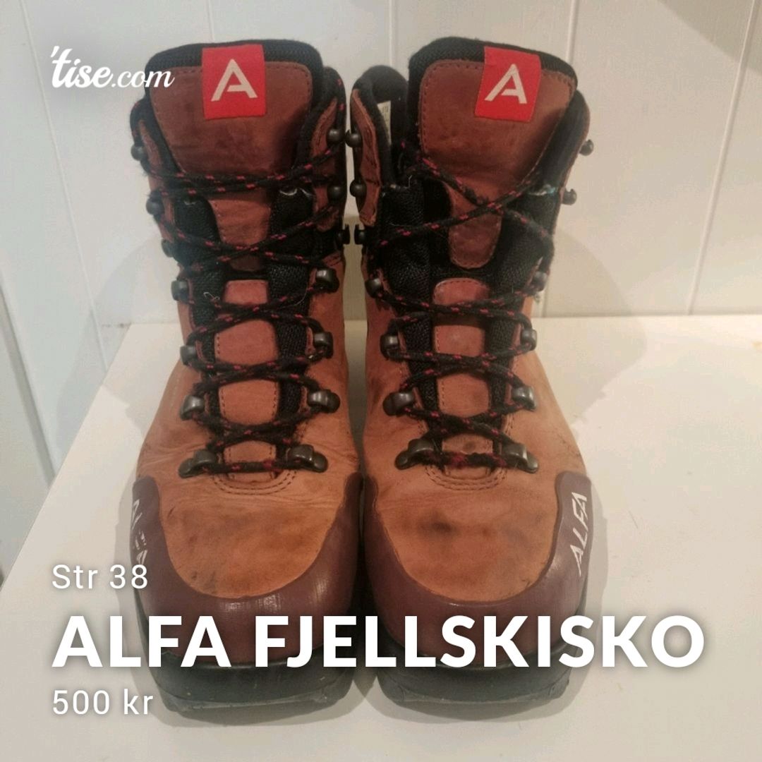 Alfa Fjellskisko