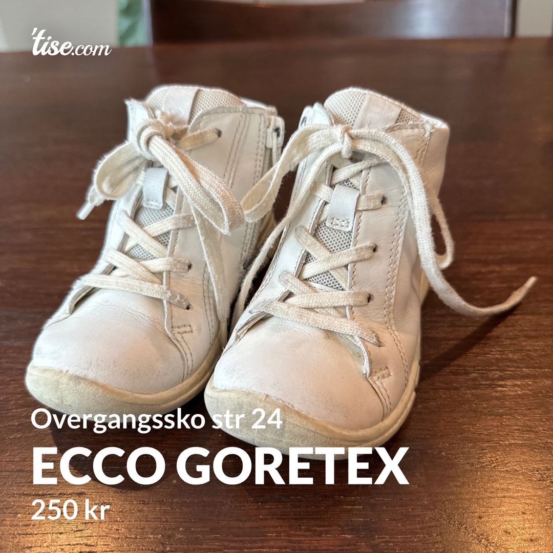 Ecco goretex