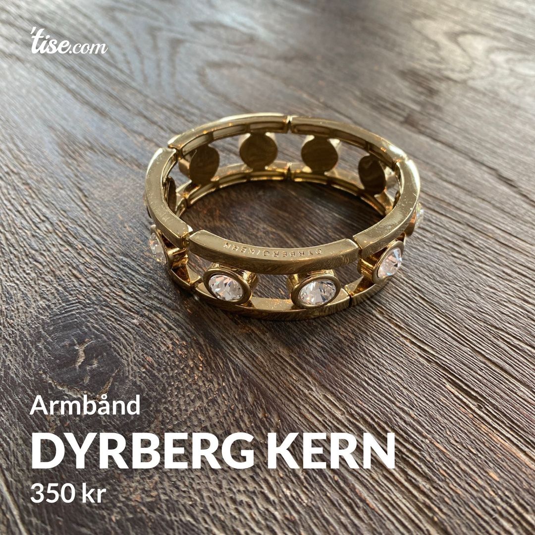 Dyrberg kern