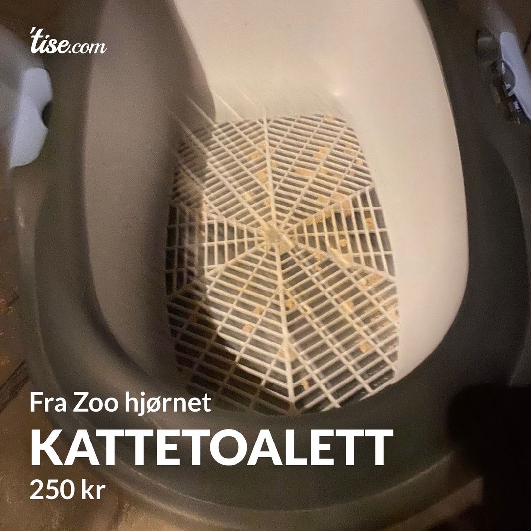 Kattetoalett