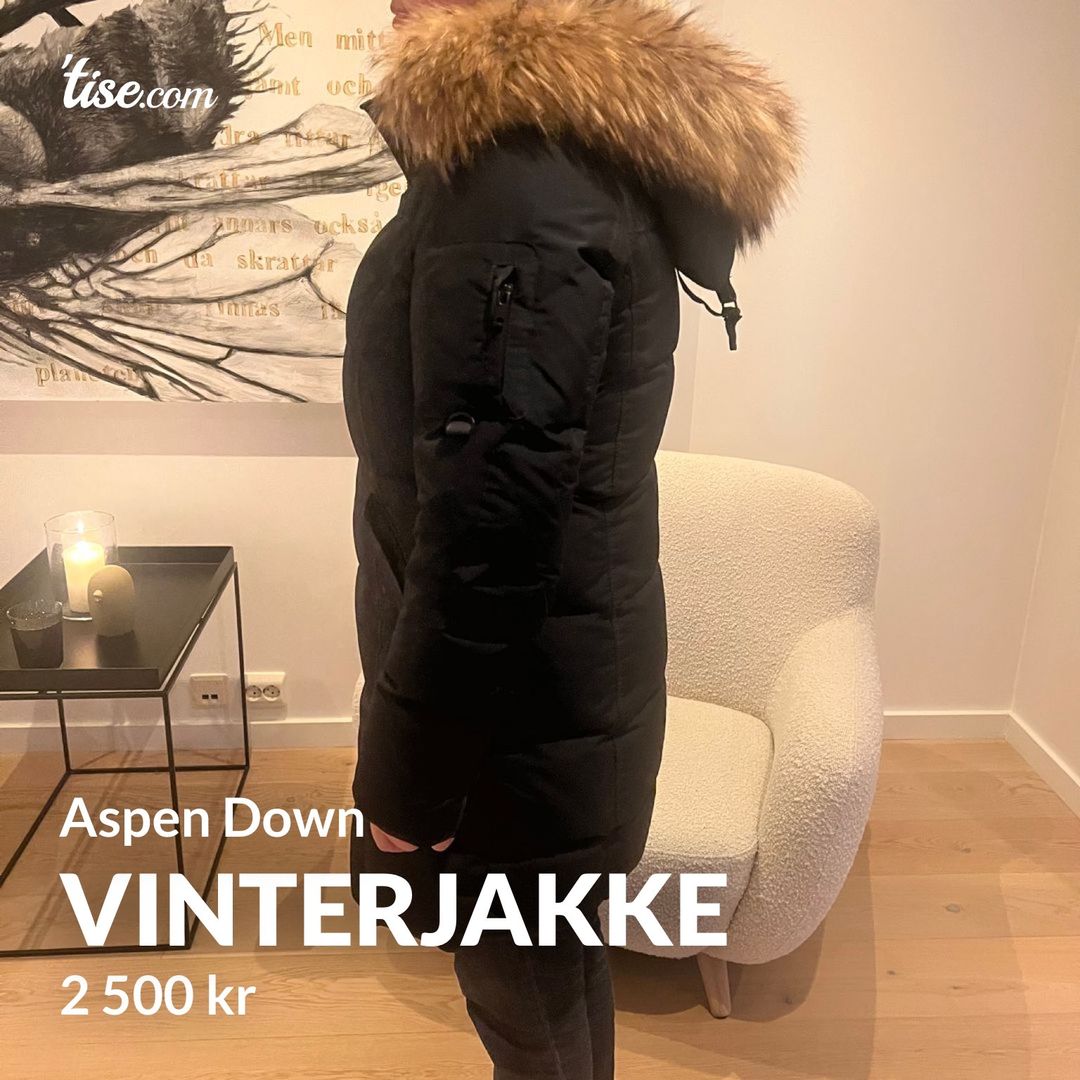 Vinterjakke