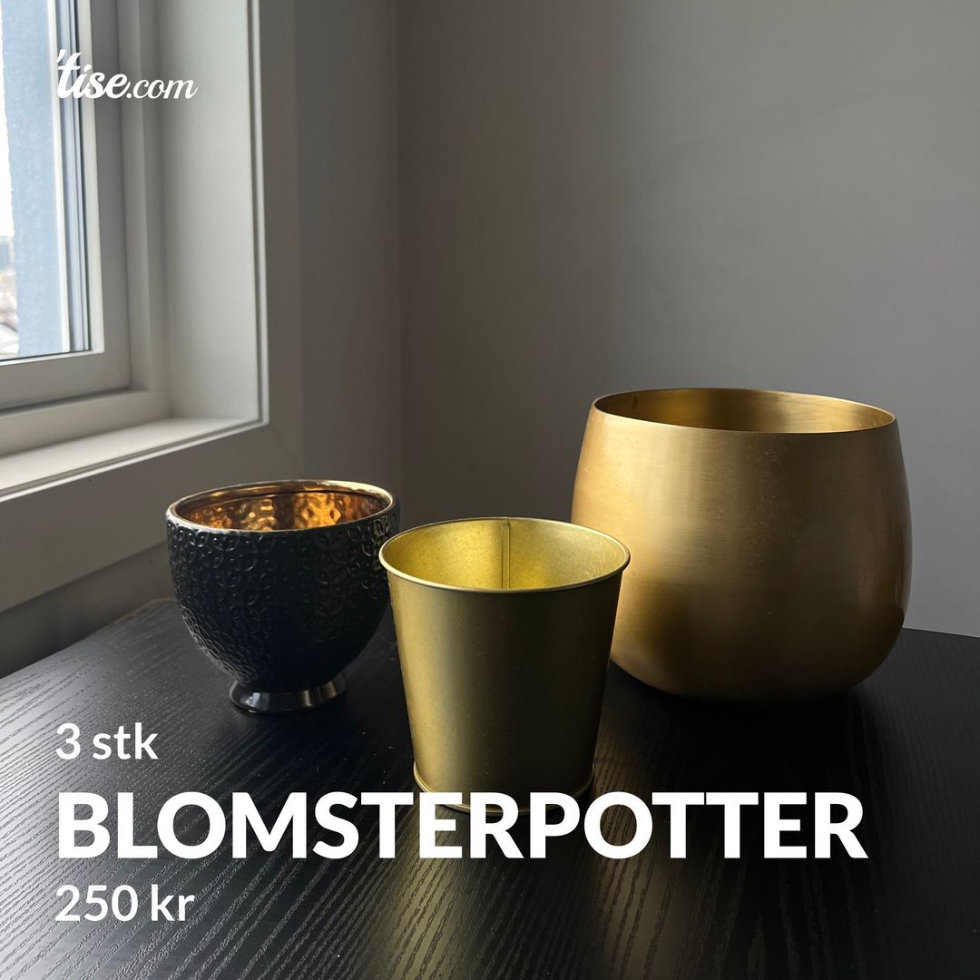 Blomsterpotter