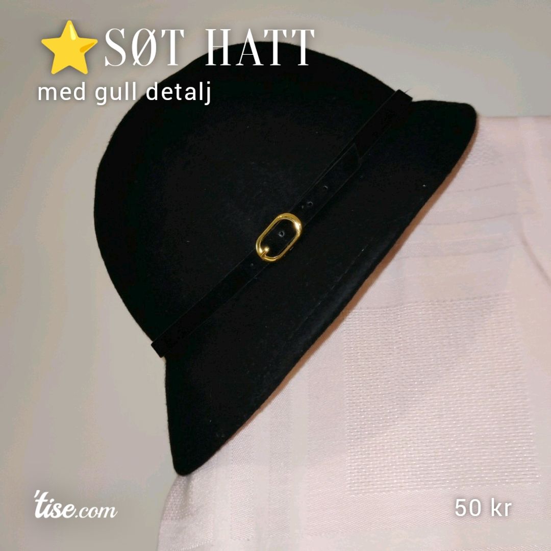 ⭐SØT HATT