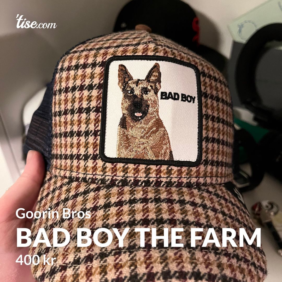 Bad Boy The Farm