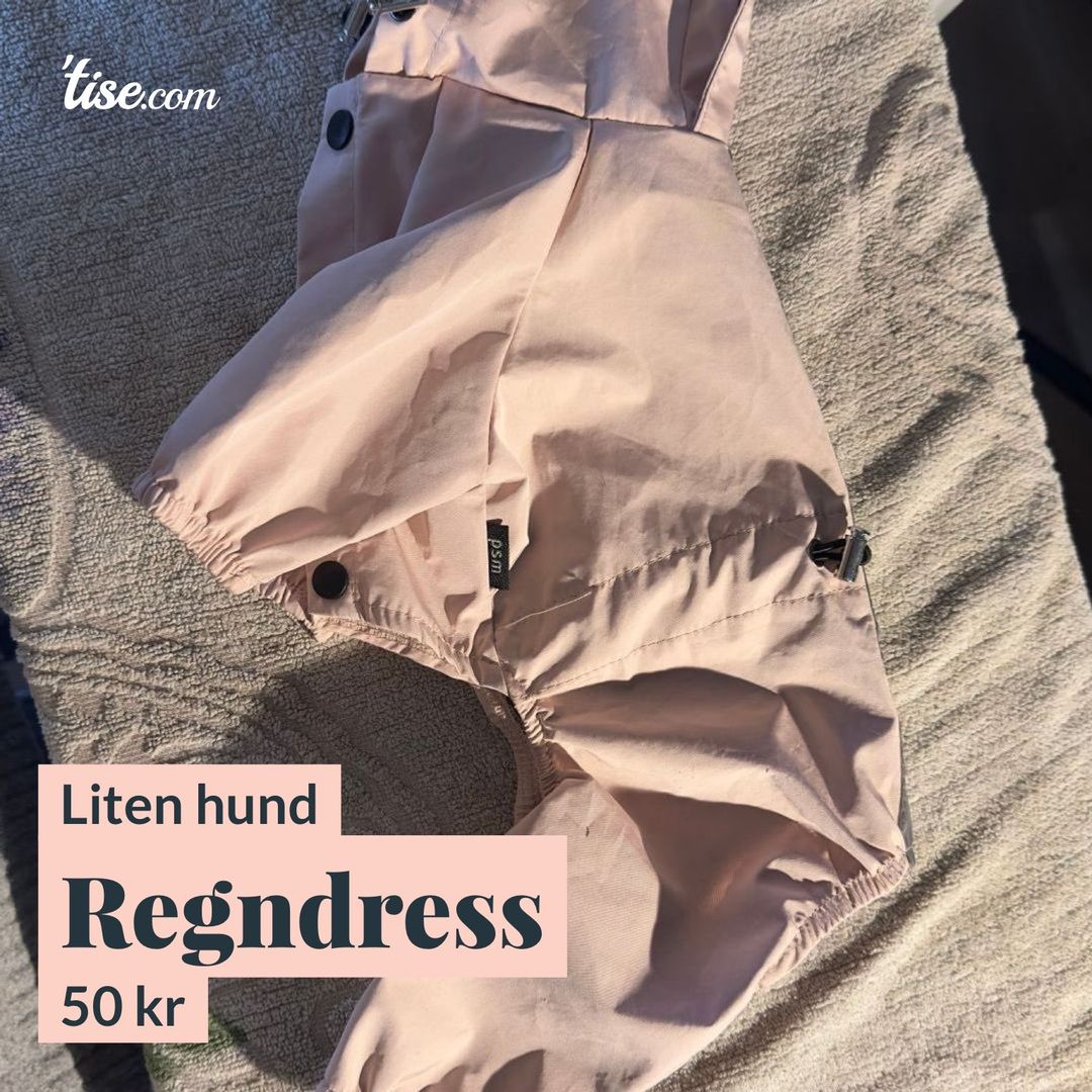 Regndress