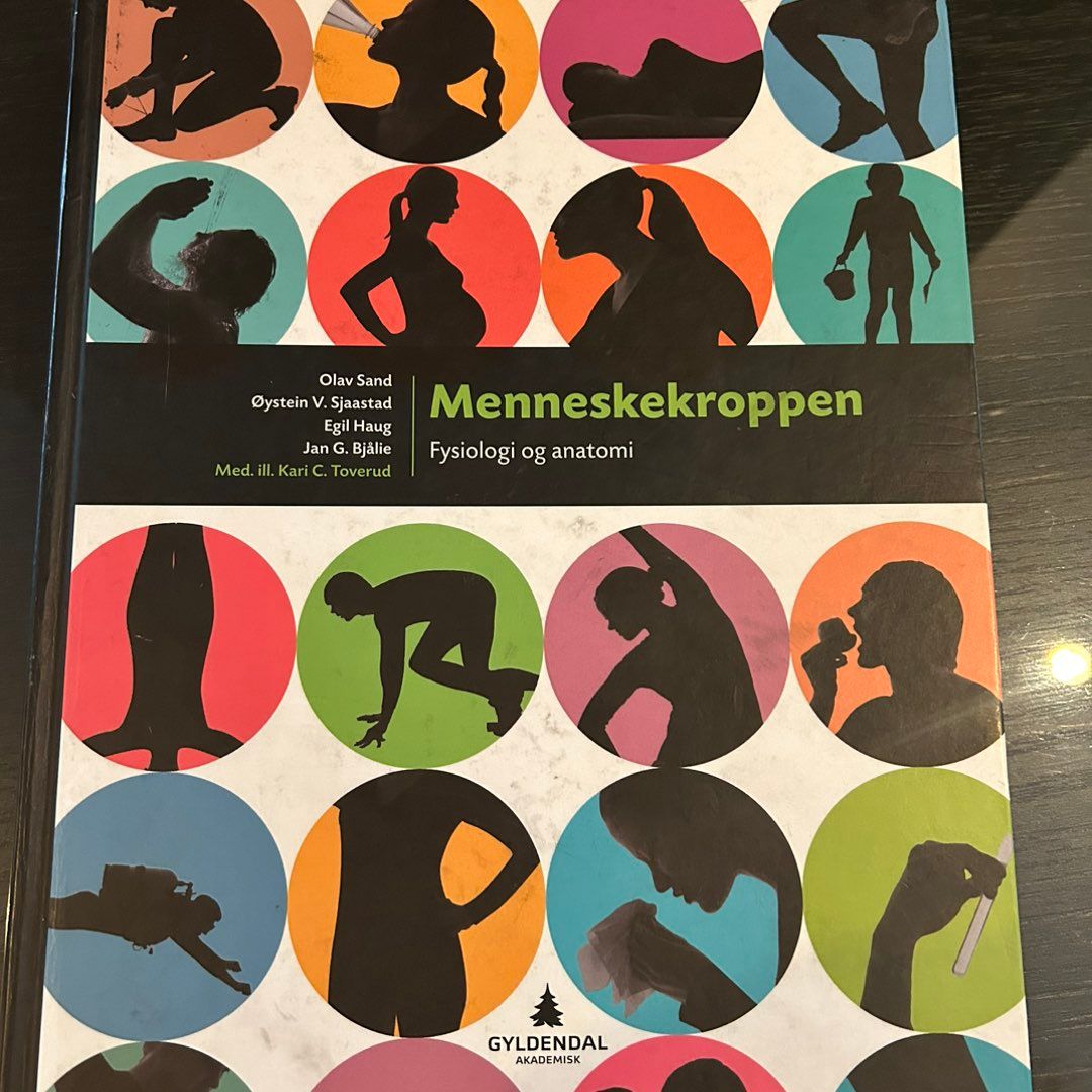 Menneskekroppen