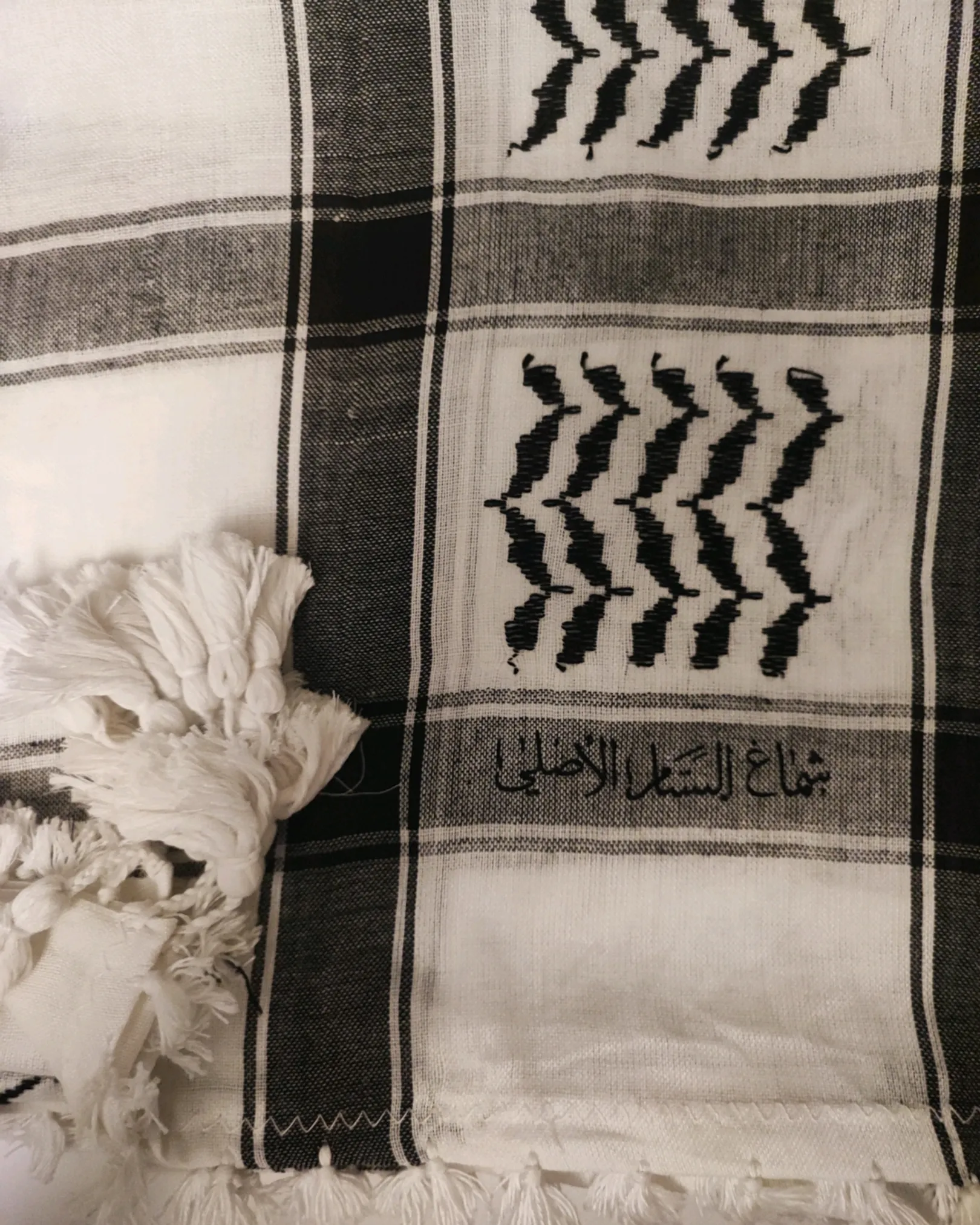 Palestine Kuffiyeh