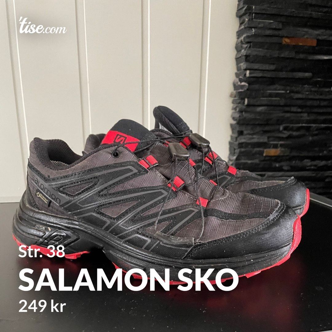 Salamon sko