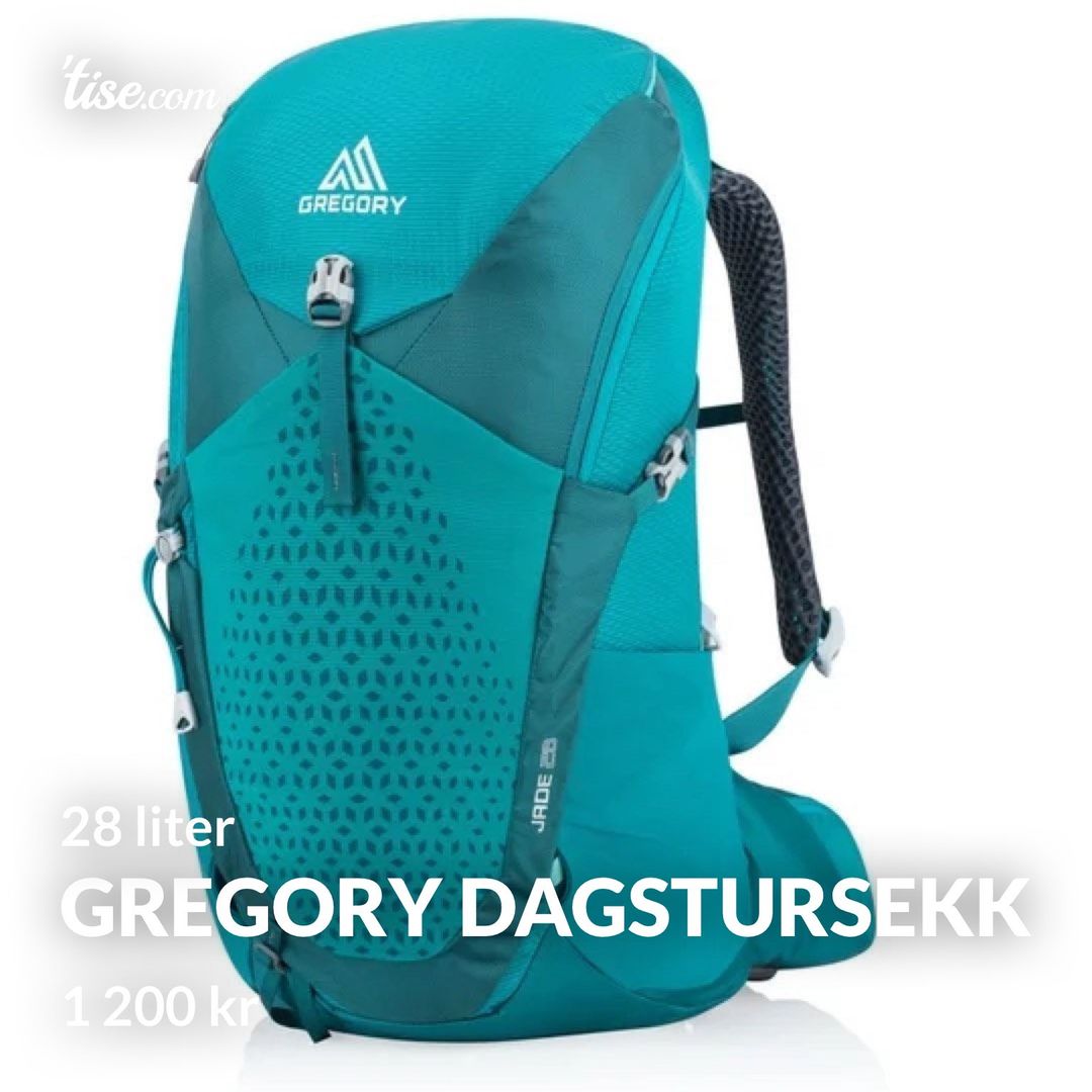 Gregory dagstursekk