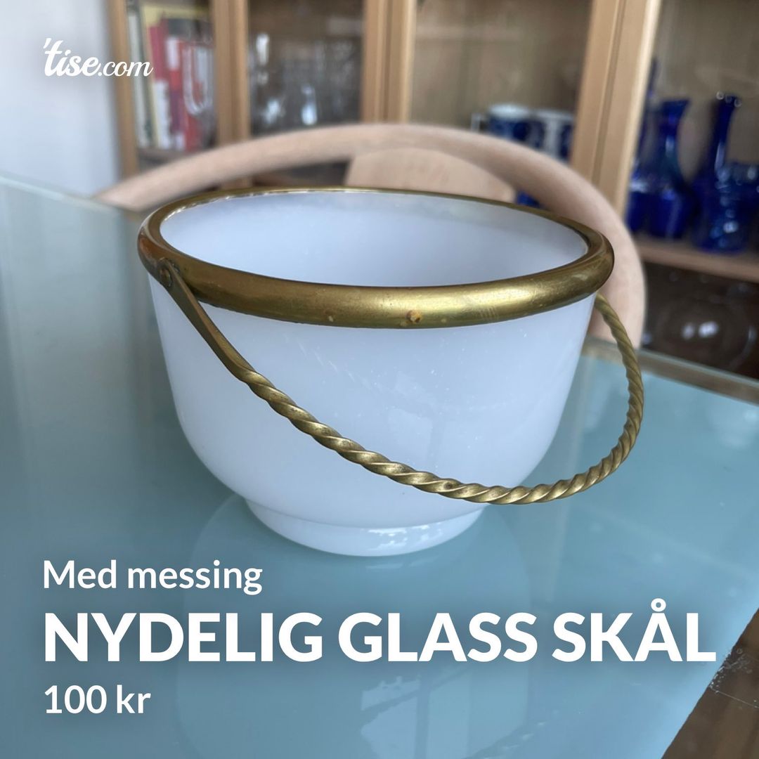 Nydelig glass skål