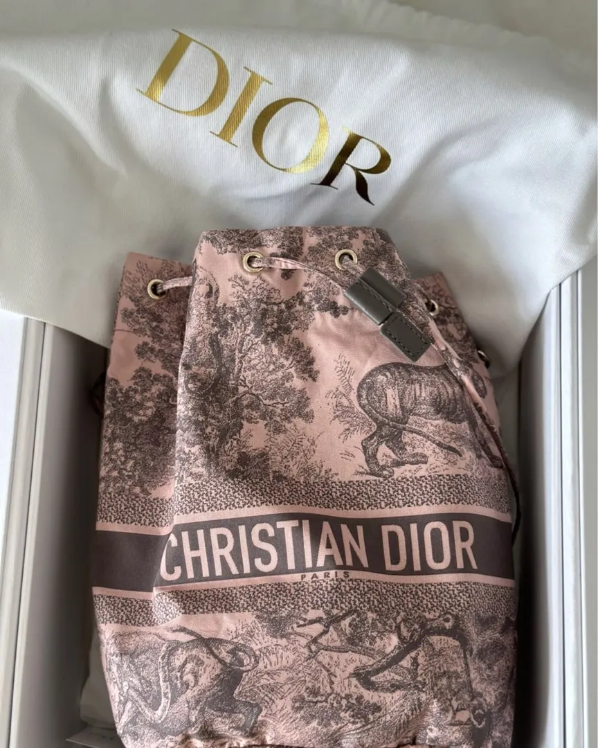 Dior pouch