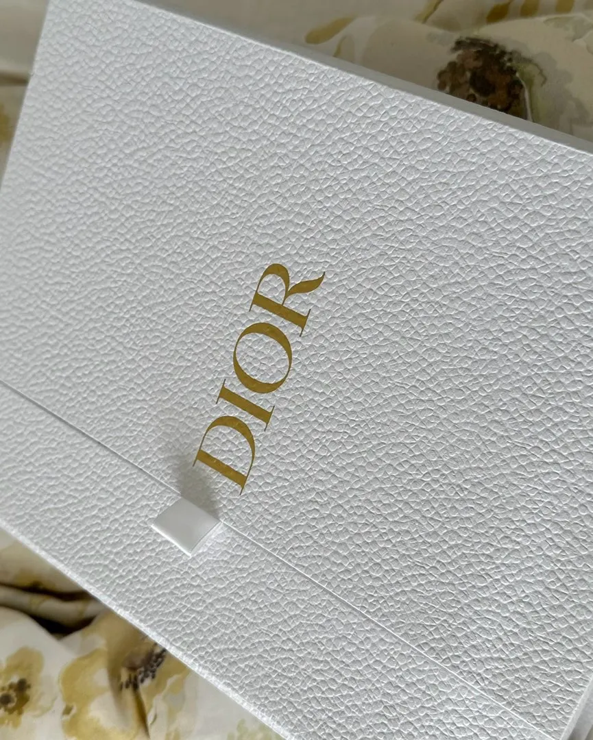 Dior pouch