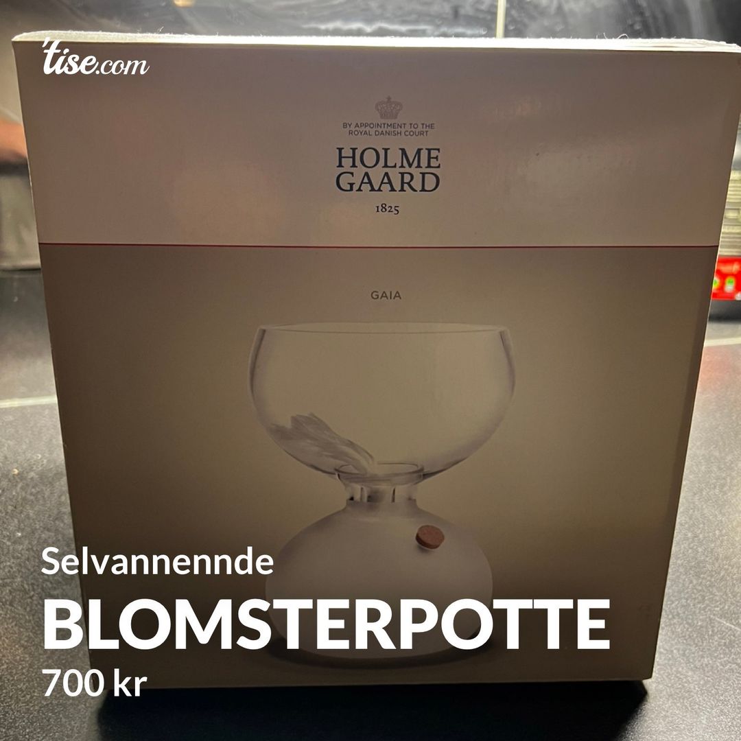 Blomsterpotte