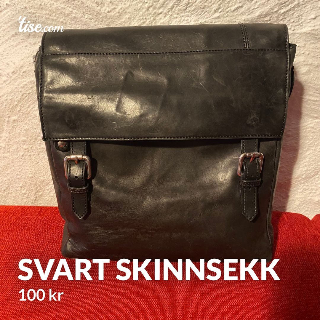 Svart skinnsekk