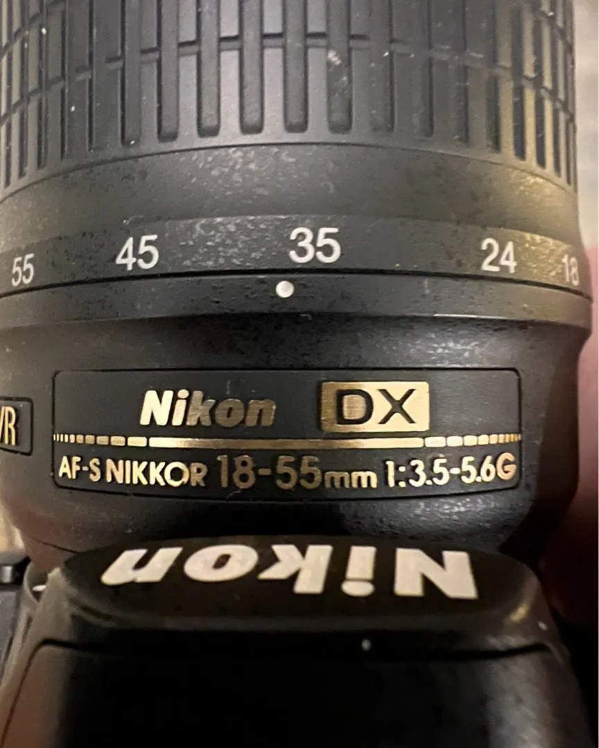 Nikon D3100